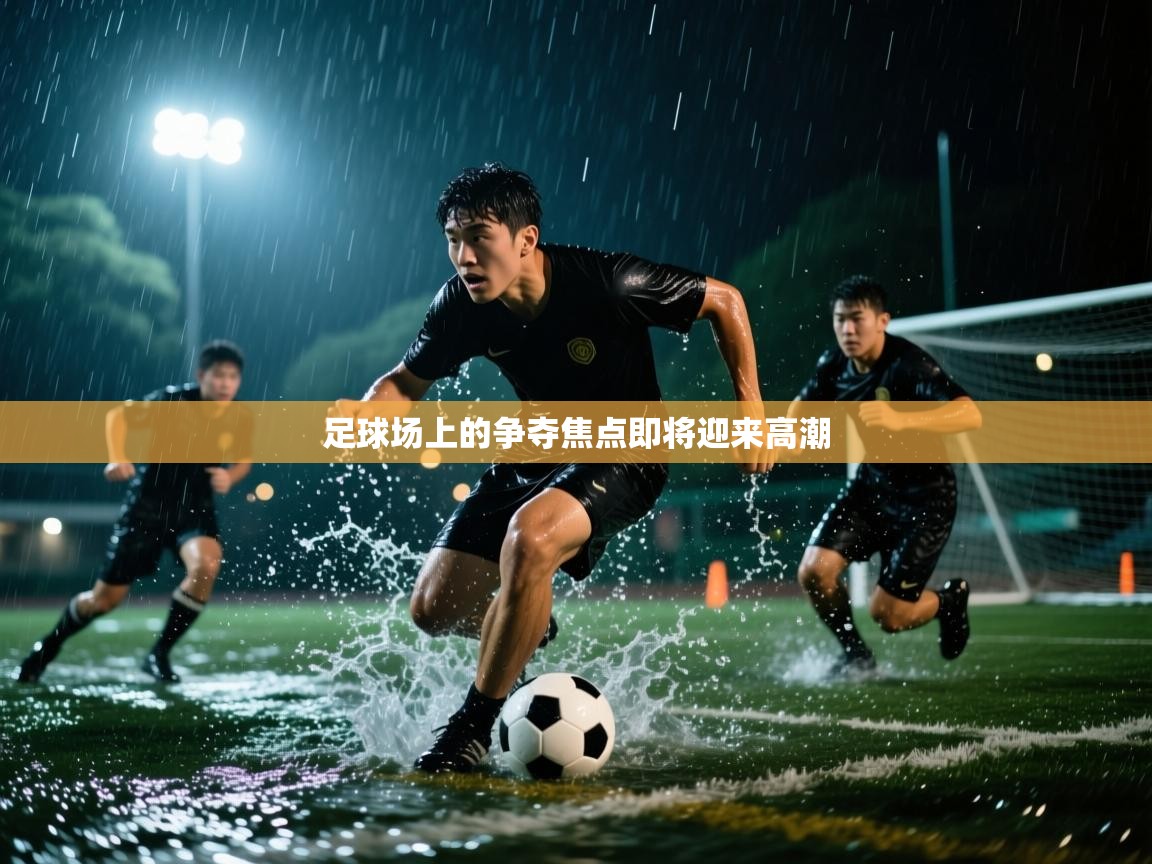 足球场上的争夺焦点即将迎来高潮 第2张