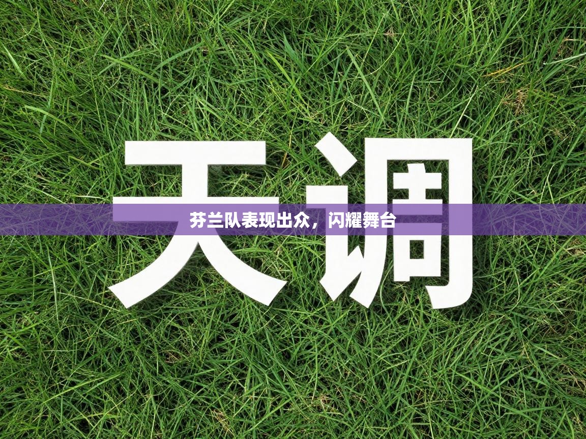 芬兰队表现出众,闪耀舞台 第1张